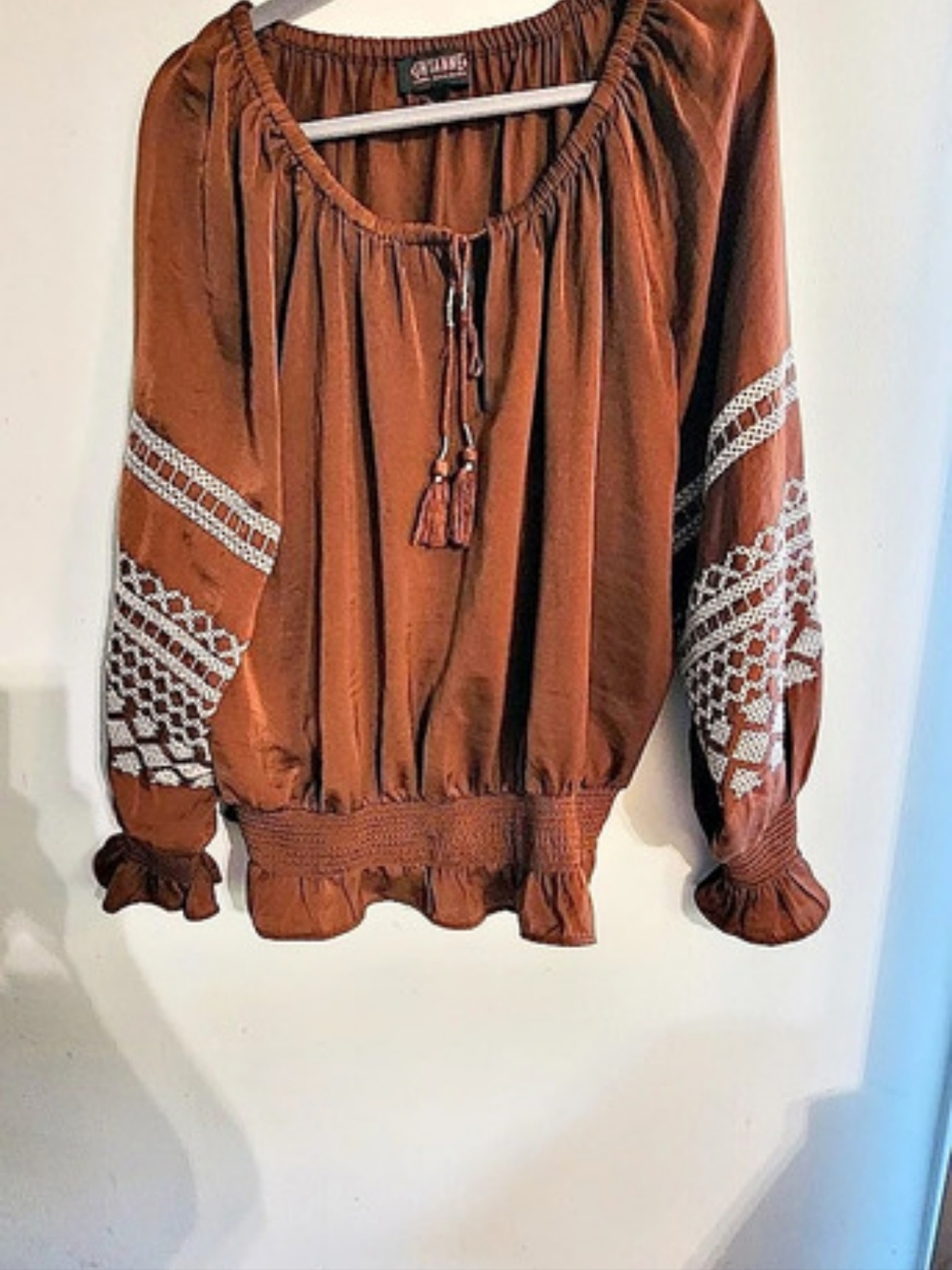 Shayanne Brown Embroidered Long Sleeve Boho Peasant Top Plus Size XXL (2X)